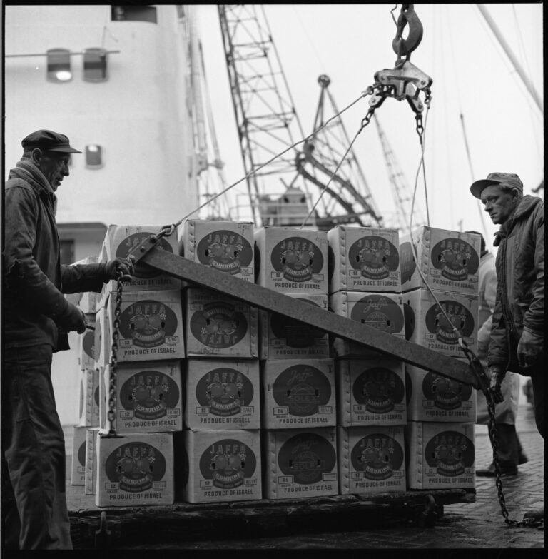 Havenwerkers van Swarttouw verwerken pallet met dozen vol Israelische Jaffa's, aangekomen met schip 'Lemoncore' (1965).